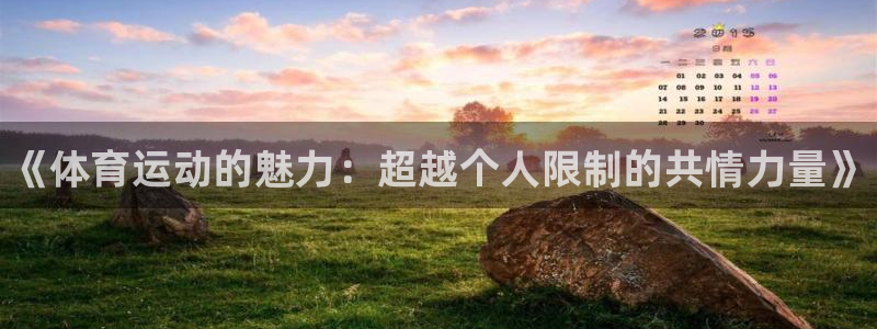 米兰体育官方正版app娱乐首页网站大全:《体育运动的魅力:超