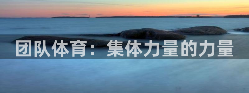 米兰体育官网下载是干嘛的公司:团队体育:集体力量的力量