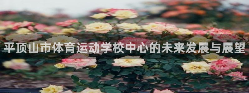 米兰体育官网下载招商电话号码查询:平顶山市体育运动学校中心的