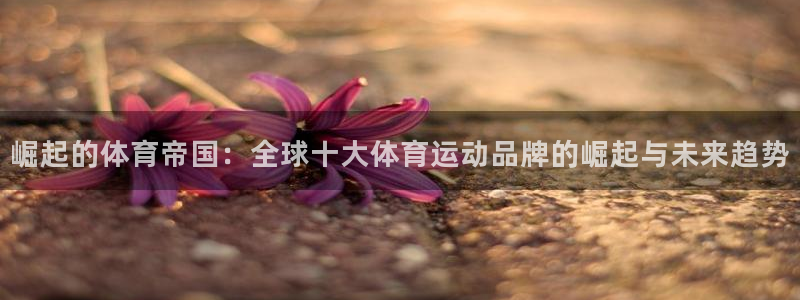 海南米兰体育官网下载发展怎么样:崛起的体育帝国:全球十大体育