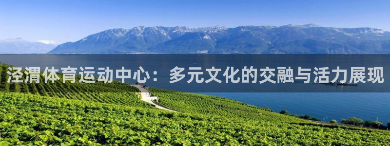 米兰体育官方正版app集团E.ON:泾渭体育运动中心:多元文